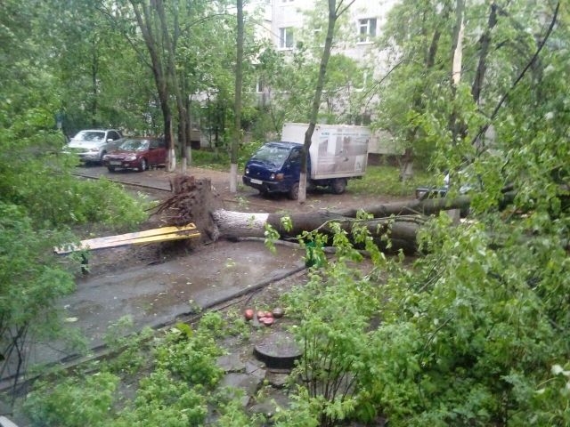 В Москва е страшно! Ураганен вятър поваля всичко по пътя си, съобщава се за загинали (СНИМКИ/ВИДЕО)