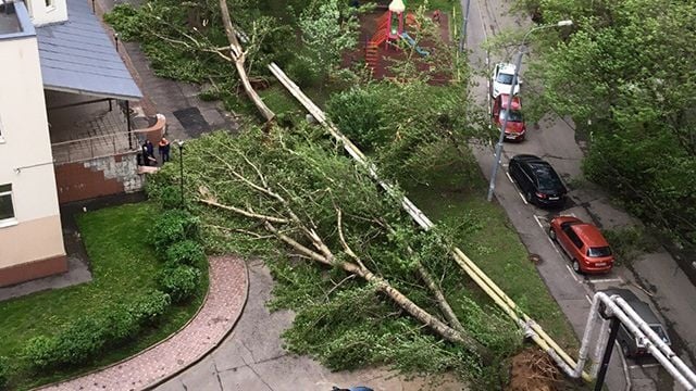 В Москва е страшно! Ураганен вятър поваля всичко по пътя си, съобщава се за загинали (СНИМКИ/ВИДЕО)