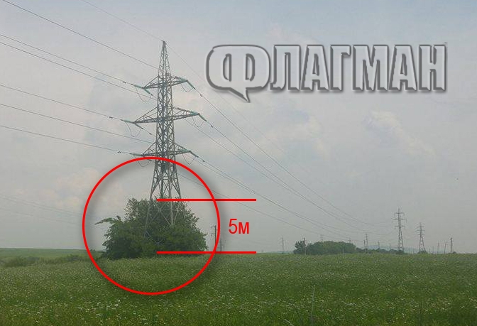 Опасността от пожари расте! Растителност обхвана важни електрически стълбове в Бургаско (СНИМКА)