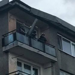 Перничани пропищяха от това, което падна на балкон в блок (СНИМКА)