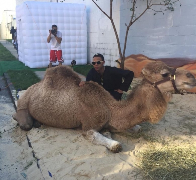 Майка се изръси с 25 000 долара за бала на сина си, купила камили и пясък (СНИМКИ)