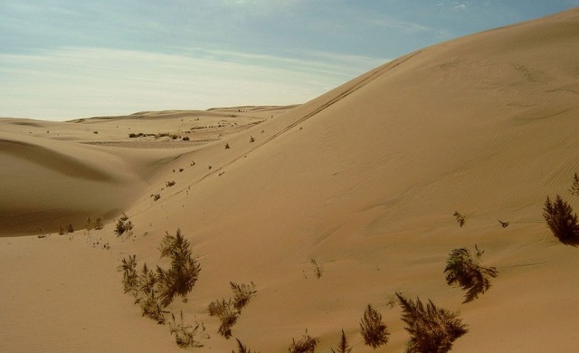 10 пустини, които си заслужават да посетите за ваканцията (СНИМКИ)