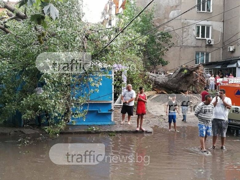 Погромът в Пловдив е пълен, след като адът слезе в града (СНИМКИ/ВИДЕО)