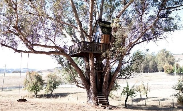 10 страхотни къщи на дърво, които може да наемете (СНИМКИ)