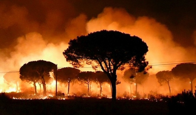 Испания гори! Стотици евакуирани заради пожар (СНИМКИ/ВИДЕО)