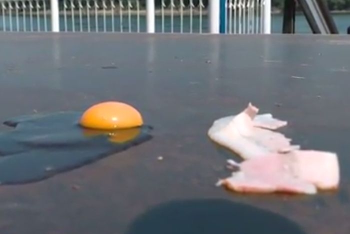 Във Видин можеш да си изпържиш яйца с бекон на слънце (ВИДЕО)