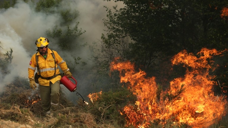 6 пожарни се борят с огнен ад до Поповица край Пловдив 