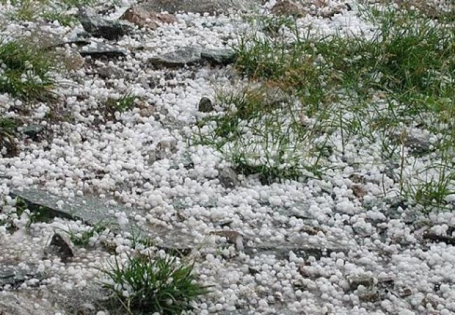 Градушка помля градини в Монтанско, ето какво е положението след стихията във Врачанско