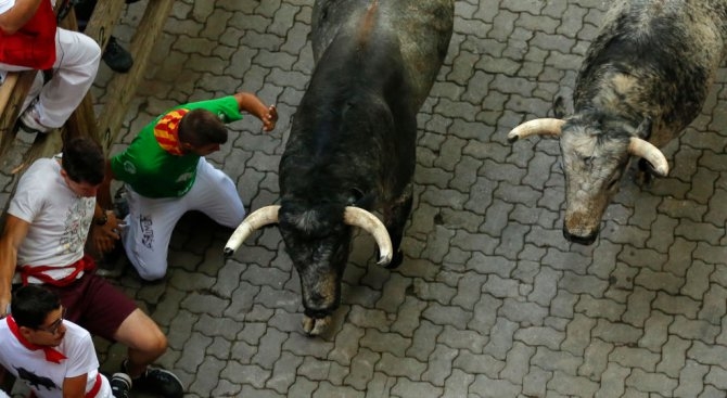 Това, което стана при първото пускане на биковете в Памплона, е ужасно (СНИМКИ)