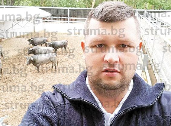 Гастарбайтер от сатовчанско село спаси от разярени бикове 4-ма участници в кървавата корида на Памплона (СНИМКИ)