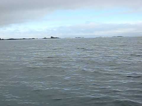 В Норвегия недоволстват от нарушаване на териториалните води на страната