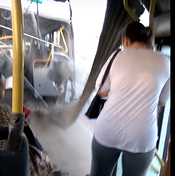 Автобус от градския транспорт в Бразилия се разцепи в движение (ВИДЕО)