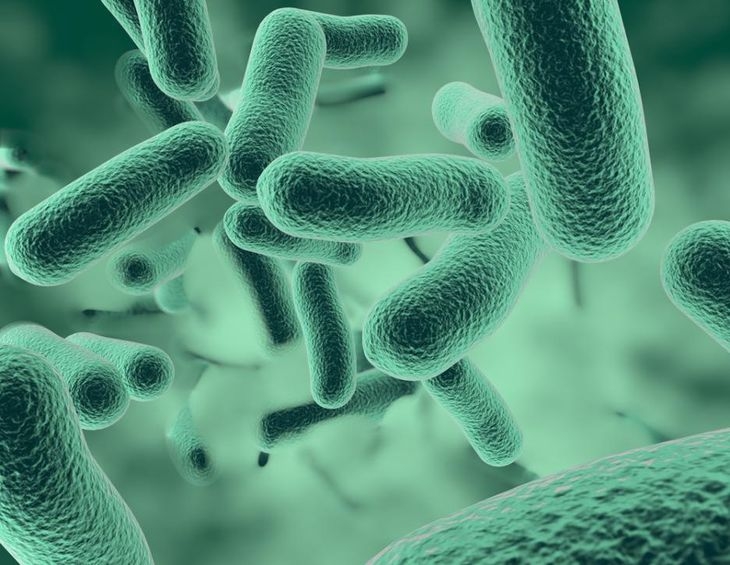 Учени със сензационно откритие за бактериите, което ще ви втрещи!
