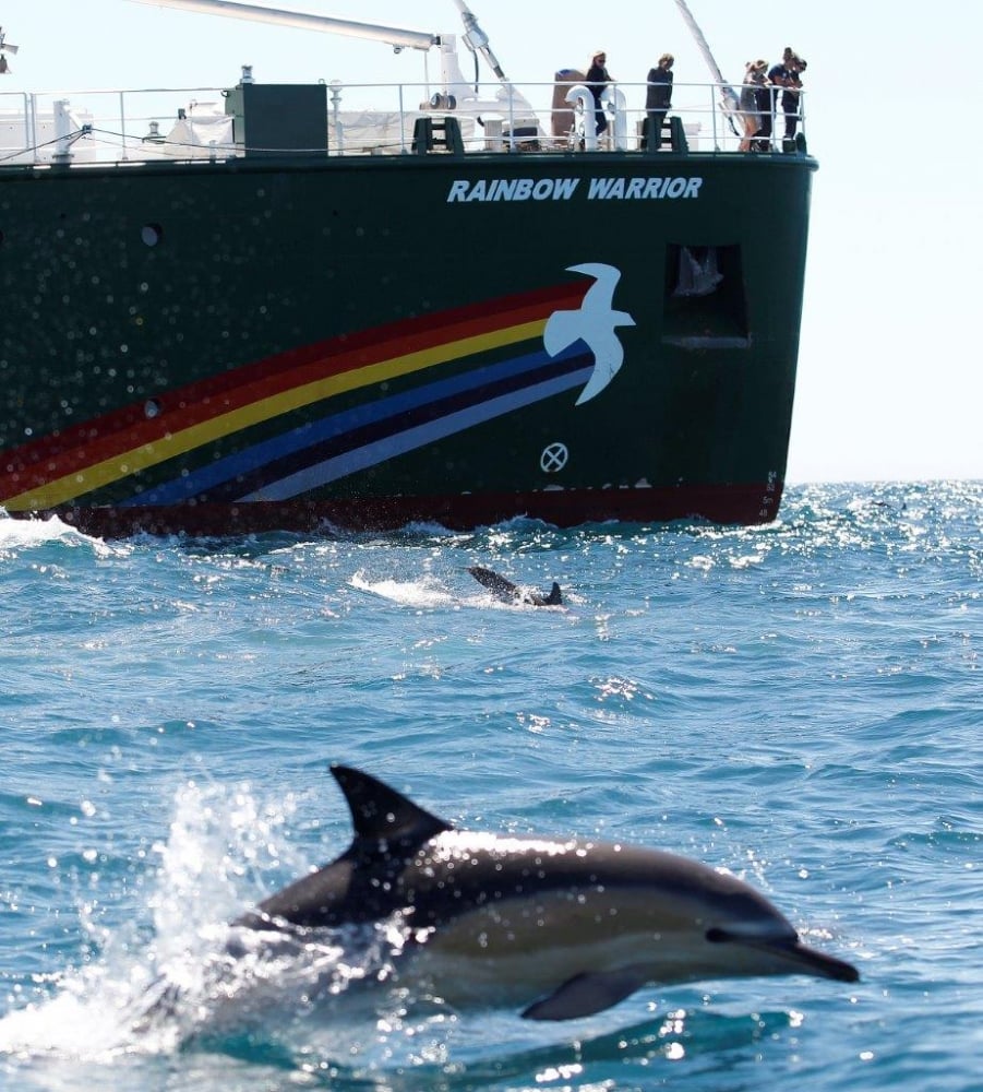 Ветроходът Rainbow Warrior на Грийнпийс пристига в България (СНИМКИ)