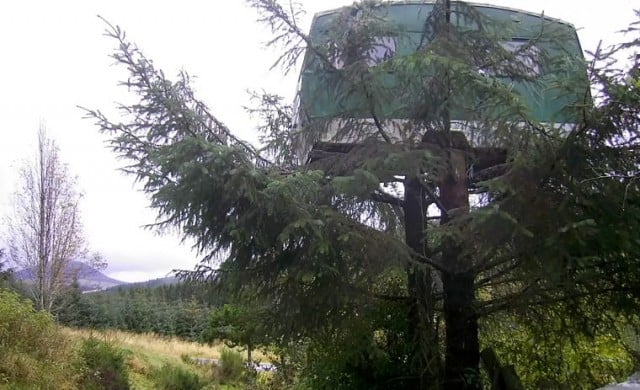 Уникално! В Шотландия можете да отседнете във фургон на дърво (СНИМКА)