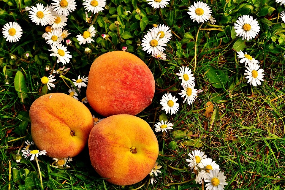 10 неподозирани факти за един от най-популярните, вкусни и сочни плодове