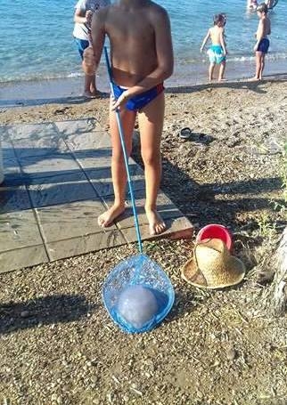 Дете отиде на плаж в Гърция и извади с мрежа от водата такъв гигант, че уплаши всички летовници (СНИМКИ)