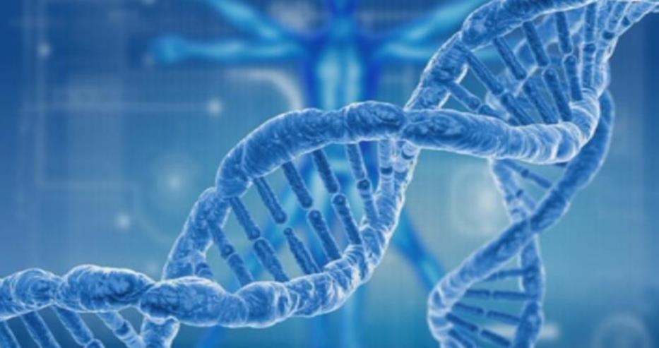 Историческо: Изследователи коригираха за първи път дефектни гени при човешки ембриони