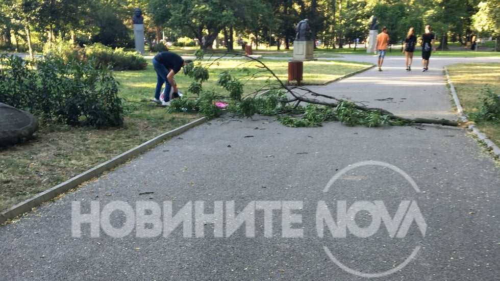 Майка с малко момченце преживя истински кошмар в Борисовата градина (СНИМКИ)