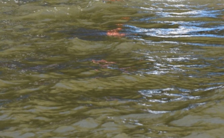 Страшна трагедия, млад мъж се удави край Балчик, близките му са неутешими