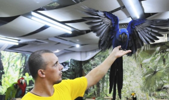 Впечатляваща изложба докара най-екзотичните папагали у нас (СНИМКИ)