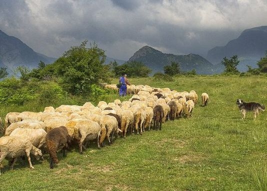 Ексклузивно в БЛИЦ: Мълния застигна овчар край пловдивско село и се случи най-страшното 