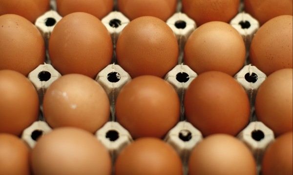 Токсични яйца откриха в 15 страни от ЕС