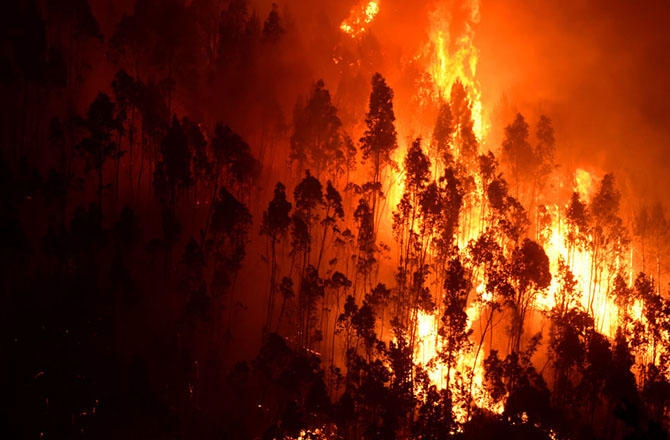 Властите в Португалия поискаха помощ от ЕС за овладяване на горските пожари
