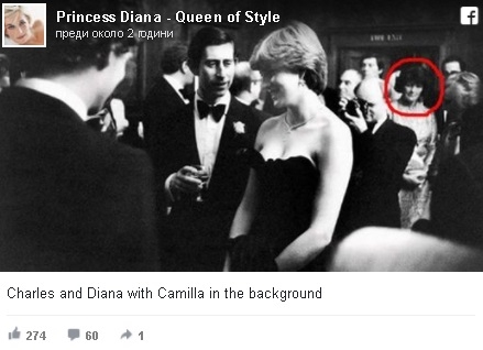 Проучване: Британците не искат прелюбодейката Камила за кралица (СНИМКИ)