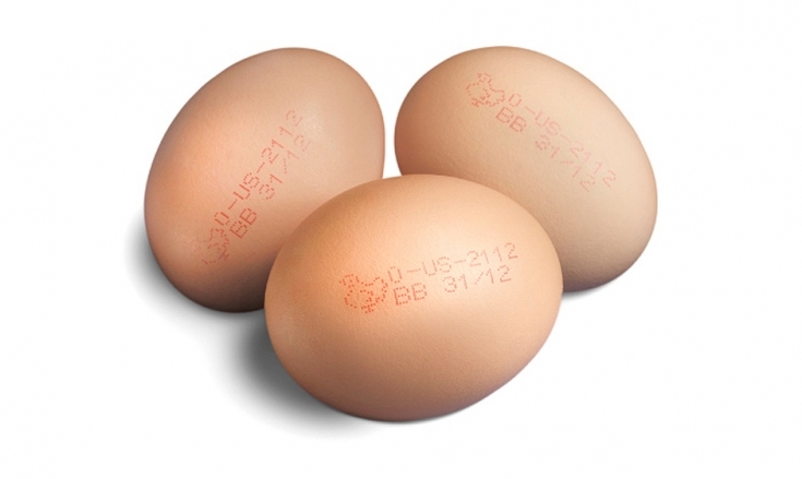 Внимание, потребители! Заради вратичка при проверките токсичните яйца от Европа вероятно вече са и у нас