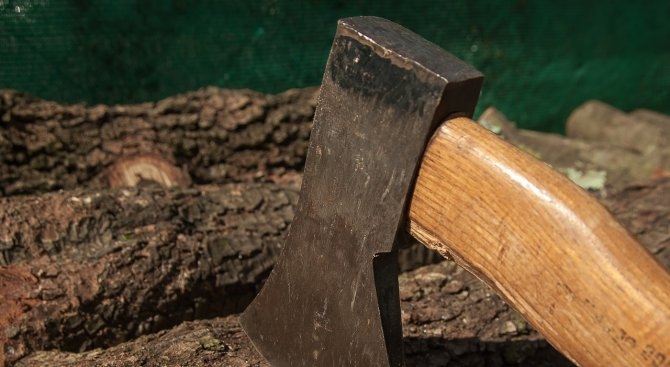 Дърво премаза млад мъж в местността Бабугерова каба