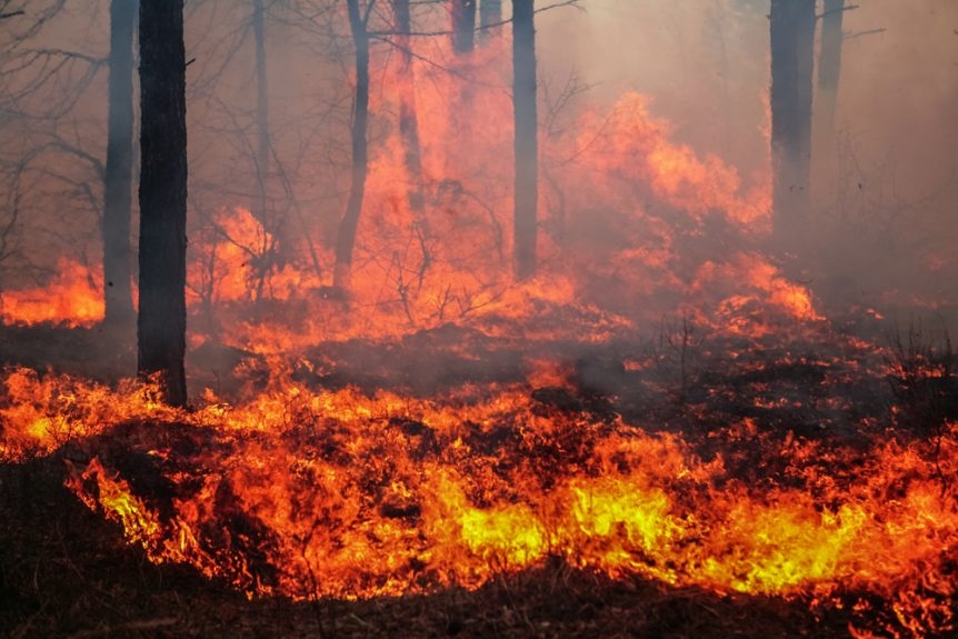 Пожари бушуват в Хърватия