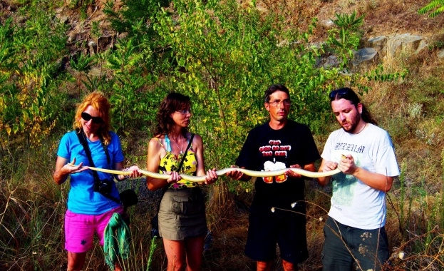 Невероятна находка: Най-дългата змия у нас за всички времена бе заловена в Бургаско (СНИМКИ)
