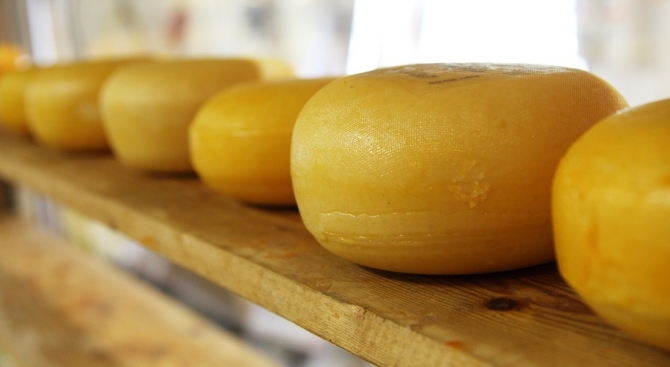 Корейски учени: Швейцарското сирене удължава живота 