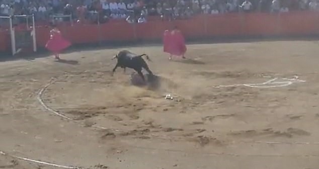 Ирония: Защитник на животни бе намушкан от бик, който се опитваше да спаси от корида (ВИДЕО)