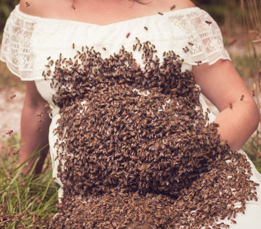 Тя 3 пъти пометна, а след това си направи уникална фотосесия с над 20 000 пчели (СНИМКИ)