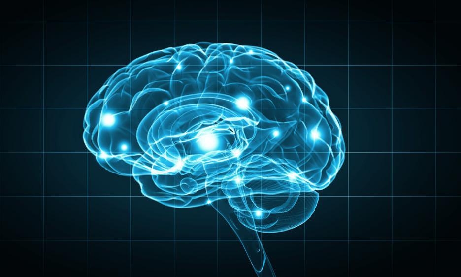 Изследване твърди: Мозъкът гълта повече енергия, за да спре да мисли