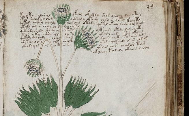 Разгадаха ли тайната на една мистериозна книга на 600 години? (СНИМКИ/ВИДЕО)