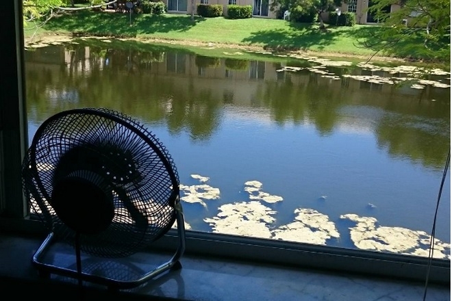 Пълна щуротия! Американци монтират вентилатори върху домовете си, за да издухат урагана "Ирма" (СНИМКИ)