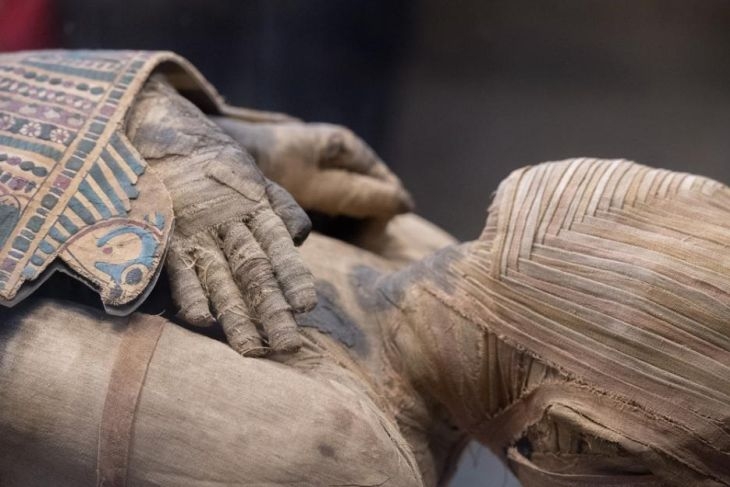 Археолози с голямо откритие в Египет, влязоха в гробница и изкараха...