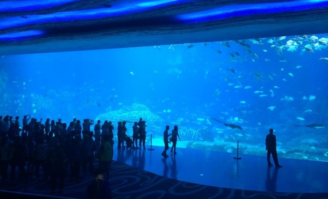 10-те най-големи аквариума в света (СНИМКИ)