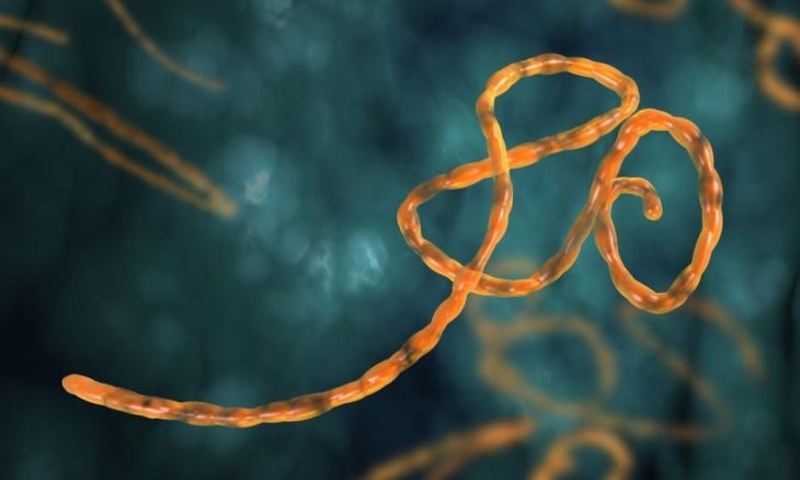Кошмарна новина: Ебола отново плъзна, сее смърт!