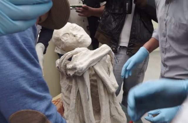 Учени сензационно: Три от намерените в Перу мумии са на извънземни рептилии (СНИМКИ/ВИДЕО)