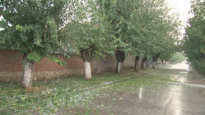 Градушка удари градове и села в Северна България, лед като лешници е опустошил селото на Ценко Чоков (СНИМКИ)