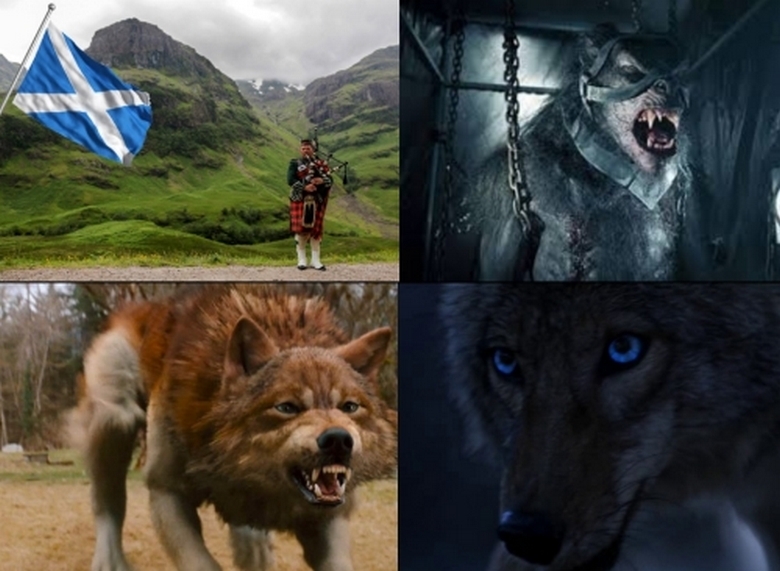 Шок в Шотландия: Върколаци крадат кучета и котки, разчленяват домашни животни (ВИДЕО) 