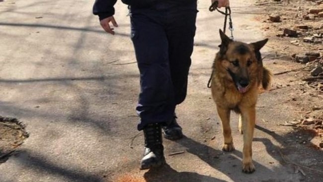 Акция край "Кичика"! Полицаи и следово куче тръгнаха по петите на Радослав!