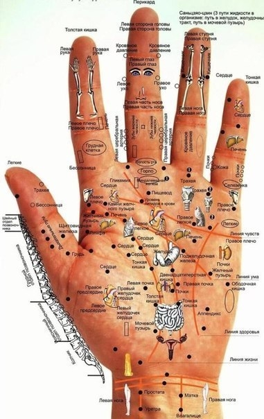 Болестите се познават по тези 6 важни признаци на дланта