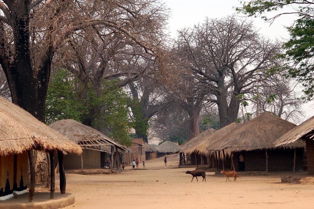 Зловещо: Убиха шестима души в Малави! Подозирали, че са...вампири