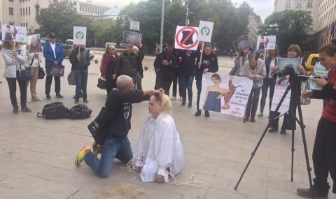 Веганите изтрещяха и обръснаха косата на жена пред Министерския съвет (ВИДЕО/СНИМКИ)