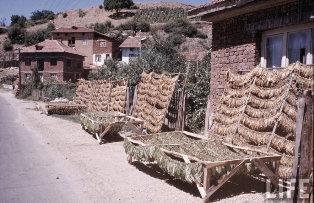 Уникални СНИМКИ от 1961 година показаха България такава, каквато отдавна не е!